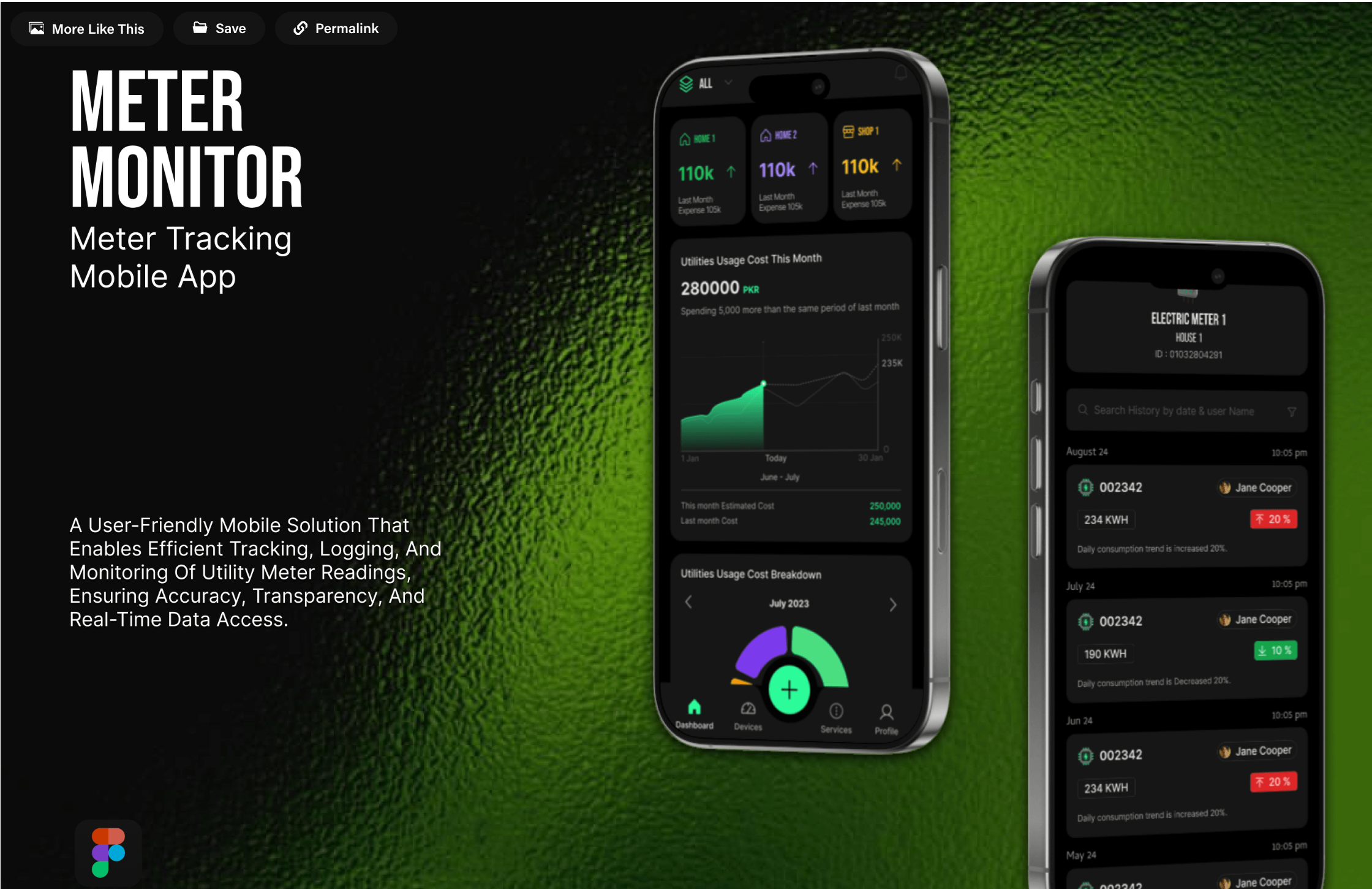 Meter Monitor mobile app: dashboard with utility usage charts and meter reading history screens